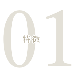 特徴1
