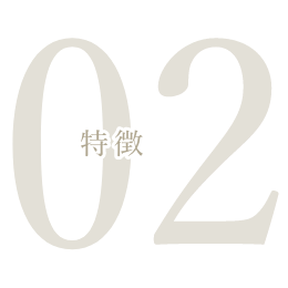 特徴2